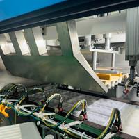 Automatische vacuüm PET-eierbak thermoformmachine met volledig servo gestuurde vorm-, snij- en stapelsysteem voor hoge precisie