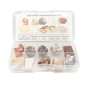 Customized Rock Specimens Box Set Natural Rough Sedimentary Mineral Stones For Sale