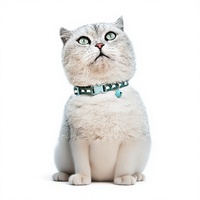Collier pour chat anti-étranglement avec boucle de sécurité, sangle de cou réglable, clochette anti-perte, en polyester, style Instagram