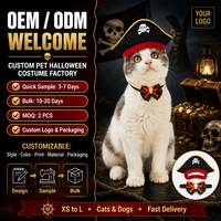 Ensemble de costumes d'Halloween personnalisés pour chats, OEM ODM, tenue en peluche douce pour animaux de compagnie avec chapeau et cape pour chats et petits chiens, marque privée