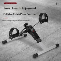Mini-vélo d'exercice pliable portable avec écran d'affichage, stepper, en plastique et aluminium écologiques, pour la maison, fabriqué en Chine