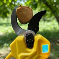 Professionele snoeischaar op accu voor fruitbomen, boomgaarden en tuinonderhoud