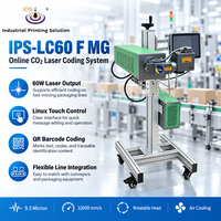 Système de marquage laser CO2 IPS-LC60 F MG, imprimante de codes laser, marqueur laser industriel 60W avec une vitesse de 12000 mm/s