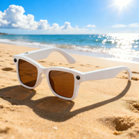 Lunettes intelligentes à technologie avancée 800W avec étui de recharge réversible, visionnage d'images Wi-Fi et reconnaissance d'objets, traduction