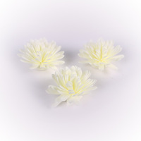 Bouteilles diffuseurs de parfum en stock, bâtonnets en rotin, fleurs préservées monocouche, accessoires de décoration DIY pour salle de bain