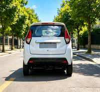 Véhicule de loisirs pour adolescents certifié EEC COC, petite voiture électrique, modèle européen, voiture à énergie nouvelle, 4 places, MINI SUV EU