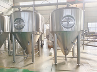 Équipement de Fermentation Industrielle de Bière 500L 1000L 2000L – Machine de Fermentation en Acier Inoxydable