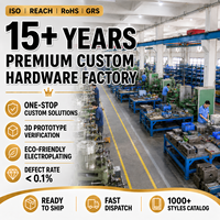 Plaque d'identification personnalisée en laiton pur pour animaux de compagnie, gravée au laser, avec logo irrégulier, pour collier et laisse de chien ou de chat