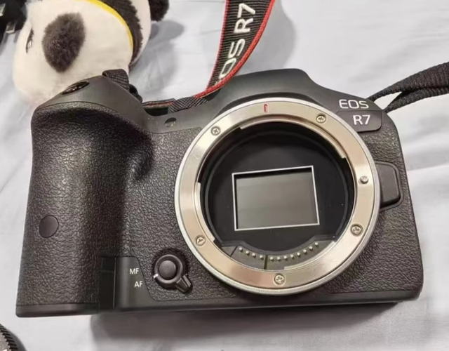 Canons R7 Used Digital Camera 4K Video Recording Camera APS-C Camera Secondhand