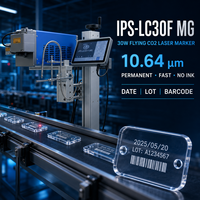 Imprimante de marquage laser IPS-LC30F MG pour verre, machine de codage de numéros de lot pour surfaces irrégulières
