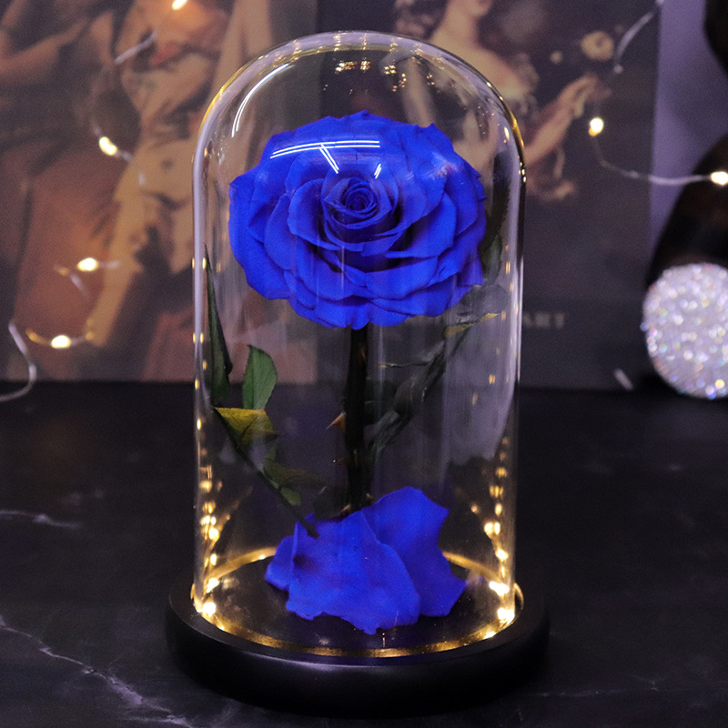 Bleu 12*20cm avec lumière