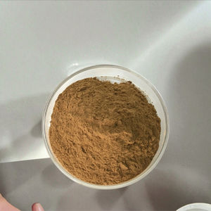 Complément alimentaire Flammulina Velutipes Extrait de <span class=keywords><strong>champignon</strong></span> <span class=keywords><strong>Enokitake</strong></span> Polysaccharides en poudre - Product Image 5