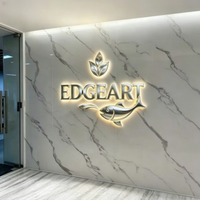 Enseigne murale en acier inoxydable rétroéclairée par LED / Lettrage en acier inoxydable rétroéclairé / Plaque murale métallique rétroéclairée IP65