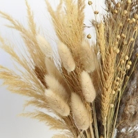 New Handi craft Natural Dry Flower Dekoration Zubehör Golden Silk Sedge Mandel Blumenstrauß für Abschluss Valentinstag