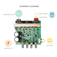 La carte d'amplificateur de puissance Audio numérique de caisson de basses haute puissance DX-2.1 canaux 2X100W peut être connectée au décodage BT