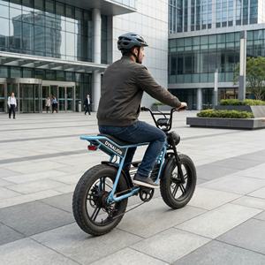 Urban Premium Vintage Fatbike E-Bike mit LCD-Display, City-Elektrofahrrad für Messezentren und Anfahrtsplassen - Product Image 5