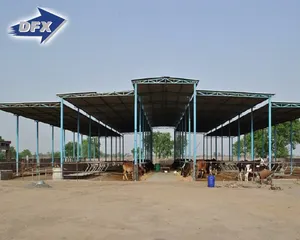 Estrutura de Aço pré-fabricada De Construção pré-fabricada de Aves Galpão Fazenda Da Vaca do Metal do Frame do Espaço