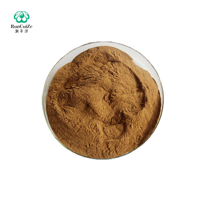 Estratto di Hericium Erinaceus in Polvere a Prezzo di Fabbrica, Polisaccaride, Estratto di Fungo Criniera di Leone - Product Image 1