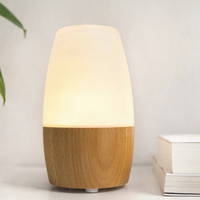 Diffuseur d'huiles essentielles ultrasonique en verre pour aromathérapie, à poser sur table, écologique, avec LED, très vendu