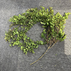 Guirlande artificielle d'eucalyptus Flower Queen, 100cm-200cm, verdure suspendue résistante aux UV, décoration murale, bouquet - Product Image 4