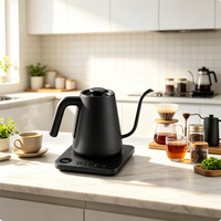 Bouilloire électrique 1,0 litre 1200W, chauffe rapide, base tactile, affichage de la température en temps réel, maintien au chaud 30 min, acier inoxydable
