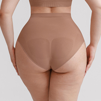 Waistdear OEM al por mayor, bragas moldeadoras de cintura alta sin costuras para mujer, control de abdomen, antideslizantes, para usar bajo vestidos, faja moldeadora de cuerpo.