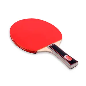 Raqueta de tenis de mesa profesional proporcionada a medida de fábrica, 2 raquetas, 3 bolas, juego de paletas de ping pong para juegos de interior y exterior