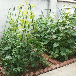 Piquets de jardin personnalisés de 8 mm, 11 mm, 16 mm, 20 mm, en acier recouvert de plastique, pour soutenir les plantes - Product Image 4
