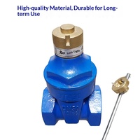 Vanne à opercule en fonte ductile avec verrouillage magnétique et joint souple fileté CZ15X-16Q NRS 2Cr13 SS Stem DN15-DN65 pour la protection des compteurs d'eau