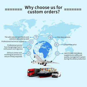 Ekstrak cair <span class=keywords><strong>Ginkgo</strong></span> Biloba organik, suplemen tropis peningkat memori otak untuk dewasa, Suplemen otak ramah fokus - Product Image 5