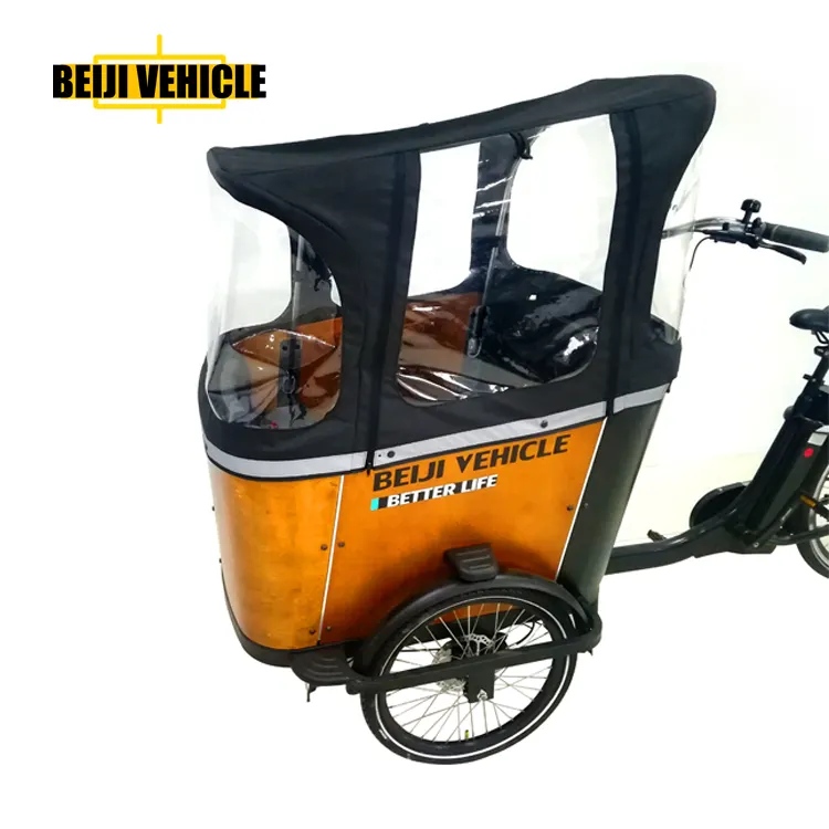 Drie Wiel Elektrische Cargo Trike Voor Kinderen Of Huisdieren Cargo Bike Driewielers