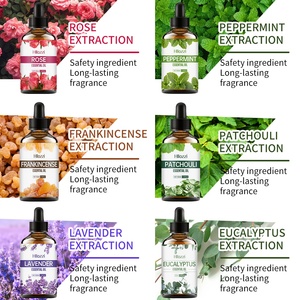 Meilleures ventes Nouvelle arrivée Huile essentielle pure pour le soin du corps à base <span class=keywords><strong>de</strong></span> plantes Spa Massage 100ml Huile hydratante biologique Parfum floral 10 - Product Image 2
