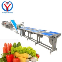 Automatische Continue Groente Verwerking Apparatuur Geprefabriceerde Groente Productielijn Wilde Groente Verwerking Machines
