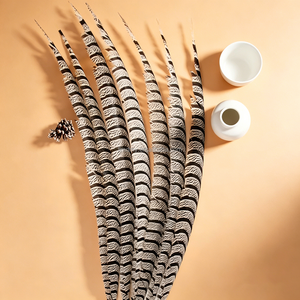 Plumes de faisan naturelles à longue queue pour costumes de carnaval, décoration intérieure, coiffes de mariage et centres de table pour vases. - Product Image 3