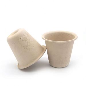 Vasos de Pulpa de Bambú Biodegradables y Compostables con Logotipo Personalizable, Ideales para Fiestas y Picnics al Aire Libre, en Oferta - Product Image 2
