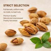 Amandes de Californie en gros, fruits secs de haute qualité en vrac, noix et amandes crues au goût sucré, en-cas à prix abordable