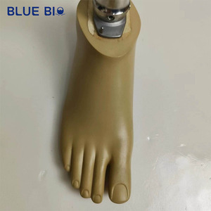 Prótesis <span class=keywords><strong>de</strong></span> Soporte para Actividades Diarias, Componentes <span class=keywords><strong>de</strong></span> Miembros Artificiales, Pierna Protésica <span class=keywords><strong>por</strong></span> <span class=keywords><strong>Encima</strong></span> <span class=keywords><strong>de</strong></span> <span class=keywords><strong>la</strong></span> <span class=keywords><strong>Rodilla</strong></span> para Amputados <span class=keywords><strong>de</strong></span> Miembros Inferiores - Product Image 5