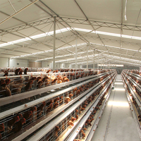 Cages en batterie pour poules pondeuses d'élevage avicole