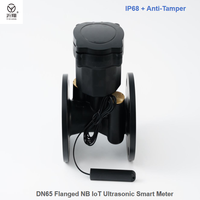 Compteur d'eau intelligent à ultrasons à double canal NB-IoT DN65 économique en fer fonte, sans fil LoRaWAN, numérique, IP68