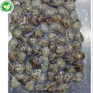 미식가 요리 모험을위한 쉘 프리미엄 품질의 해산물이없는 냉동 목 조개 고기 - Product Image 3