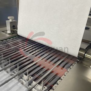 HY-420 इलेक्ट्रिक स्वचालित गेज फफोले पैकिंग मशीन गर्म बिक्री डिस्पोजेबल इंडवेलिंग सुई नाक केटर्स परीक्षण किट स्टिक के लिए - Product Image 5