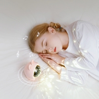 Lampe de Nuit Jouet Projecteur LED Étoiles Noël Animaux Océaniques Enfants Projecteur Lumineux Étoilé