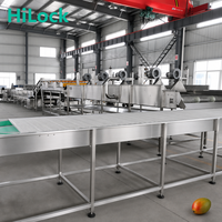 Automatische Mango Wasmachine Fruit- en Groentereinigingsapparatuur Mango Wasmachine voor de Verwerking van Verse Mango's in een Productielijn