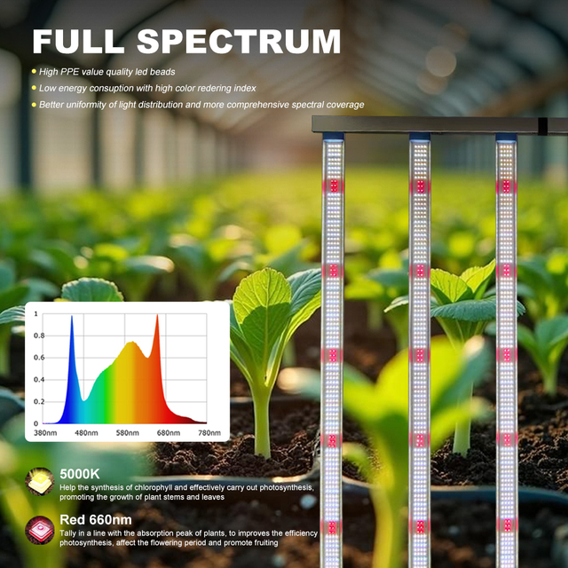 2026 800W 1200W Full Spectrum Aluminum LED Grow Light IP65 Waterproof Professional Plant Growth for Bloom Veg 5-Year Warranty