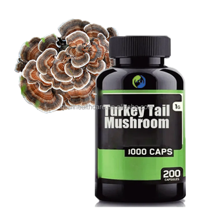 Suplemento de extracto de hongo de cola de pavo orgánico de etiqueta privada Cápsulas de hongo de cola de pavo - Product Image 1