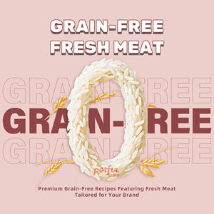 Comida seca natural fresca para mascotas, croquetas para perros y gatos, todo tipo de comida seca en forma de triángulo, comida seca para perros y gatos de la mejor calidad - Product Image 3