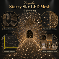 Maßgefertigte Sternenhimmel-LED-Netzbeleuchtung für Innenräume, Dekorative Sternenlichterkette für Hochzeiten, Shows, Konzerte und Bardecken