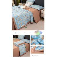 Couverture d'Été Minimaliste en Coton pour Une ou Deux Personnes, Rafraîchissante, Housse de Couette Coréenne en Polyester, Textile de Maison Quatre Pièces