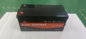 Lifepo4 100AH paket baterai lithium, untuk energi surya 12v 24v 200ah 300ah
