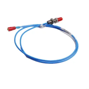 Sonde de vibration ProvibTech TM0180-A05-B05-C03-D10 en cuivre et plastique avec câble de 5 m - Surveillance de la santé des machines industrielles - Product Image 2